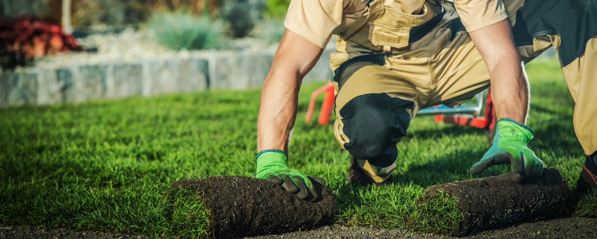 The Benefits of Vertical Gardens