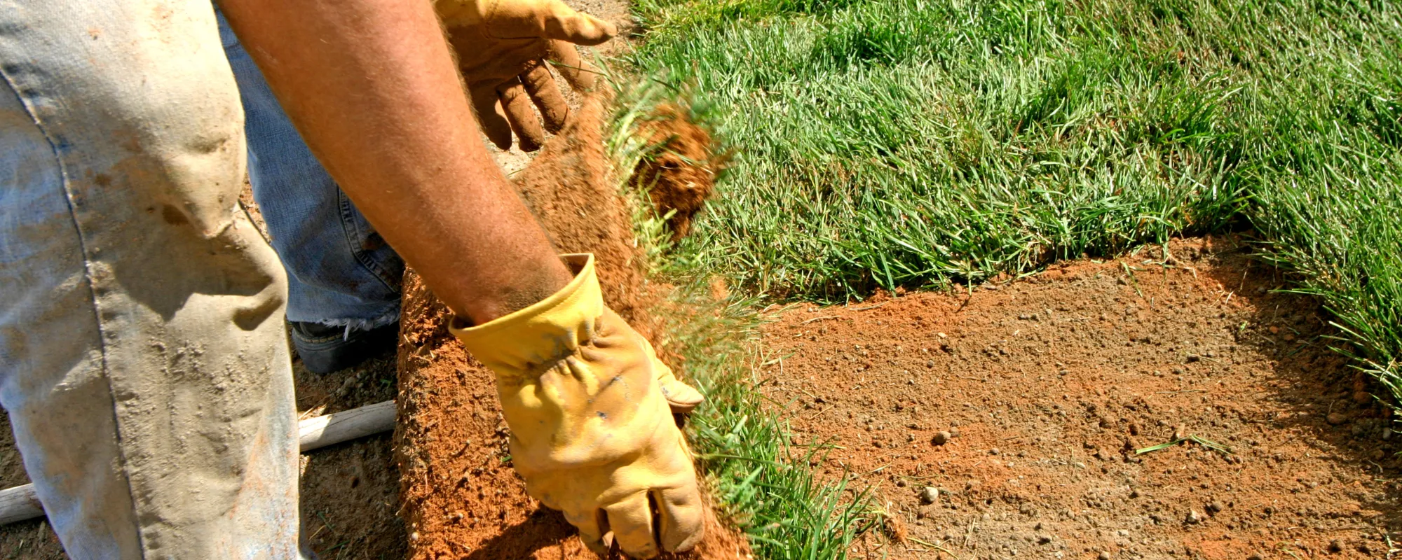 Seasonal Lawn Care Tips