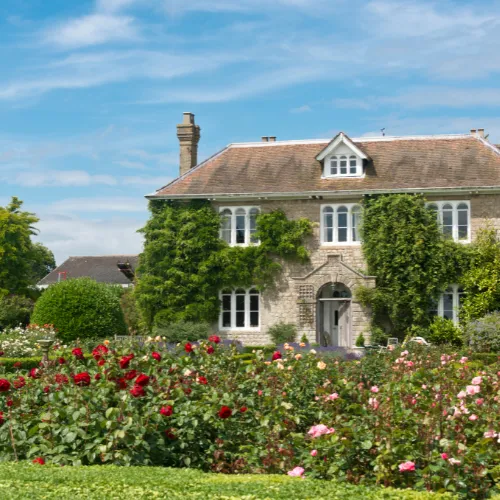 Quaint Tea Haven Cottage in Darjeeling hills