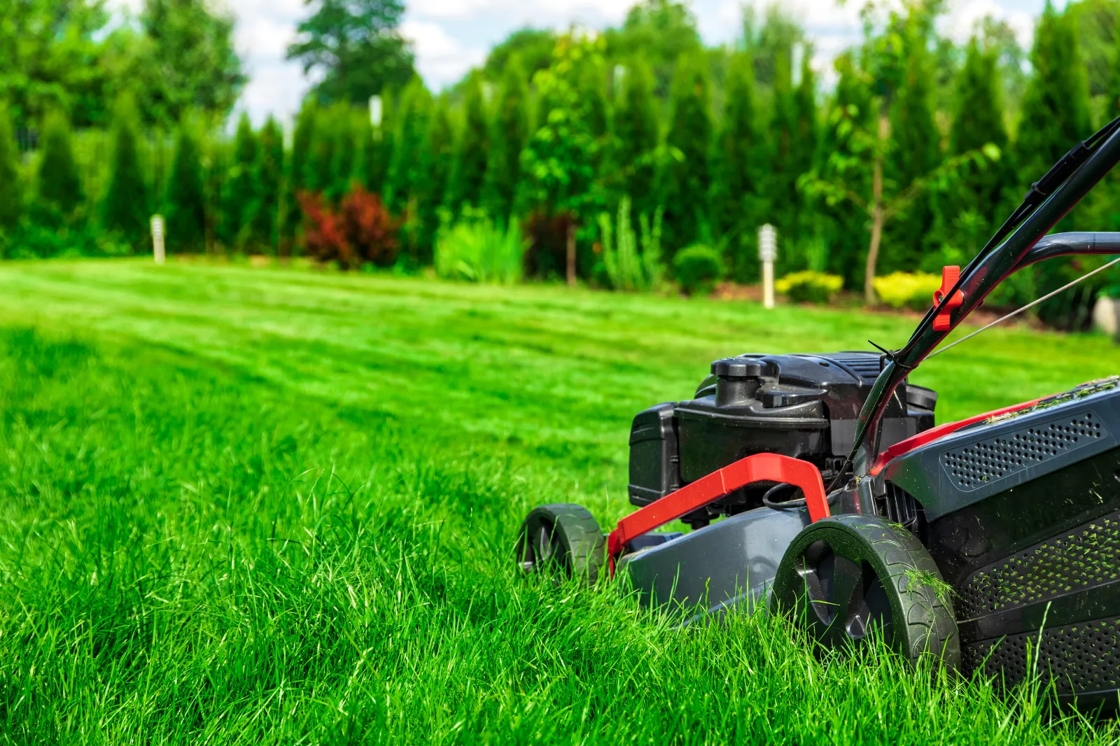 Greeneeyard's Corporate Lawn Maintenance