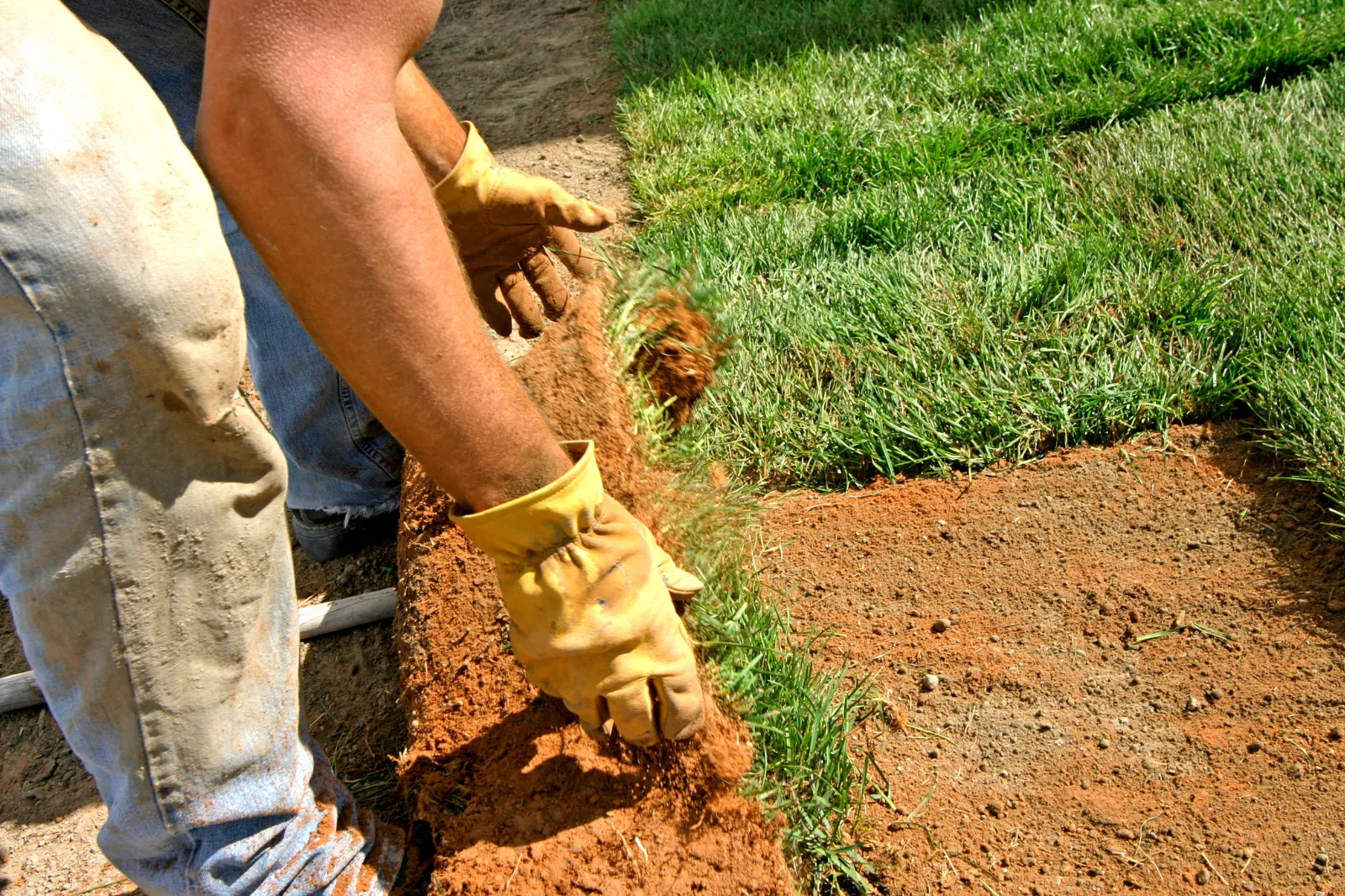 Greeneeyard Projects