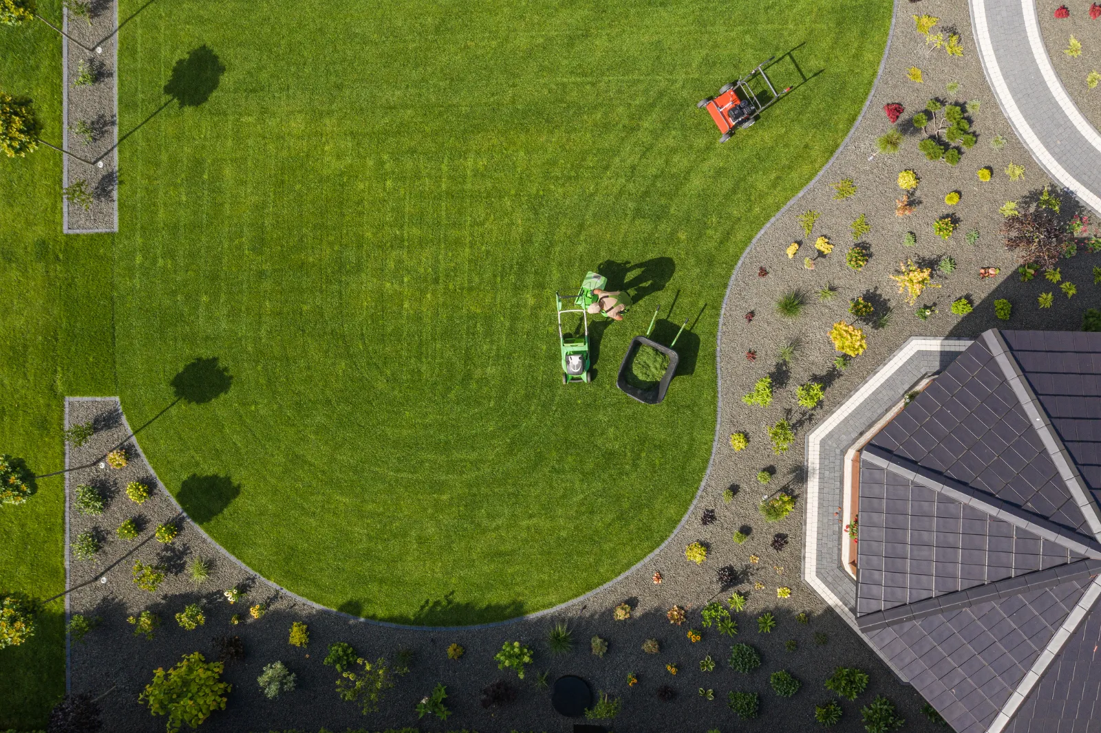 Residential Lawn Revitalization