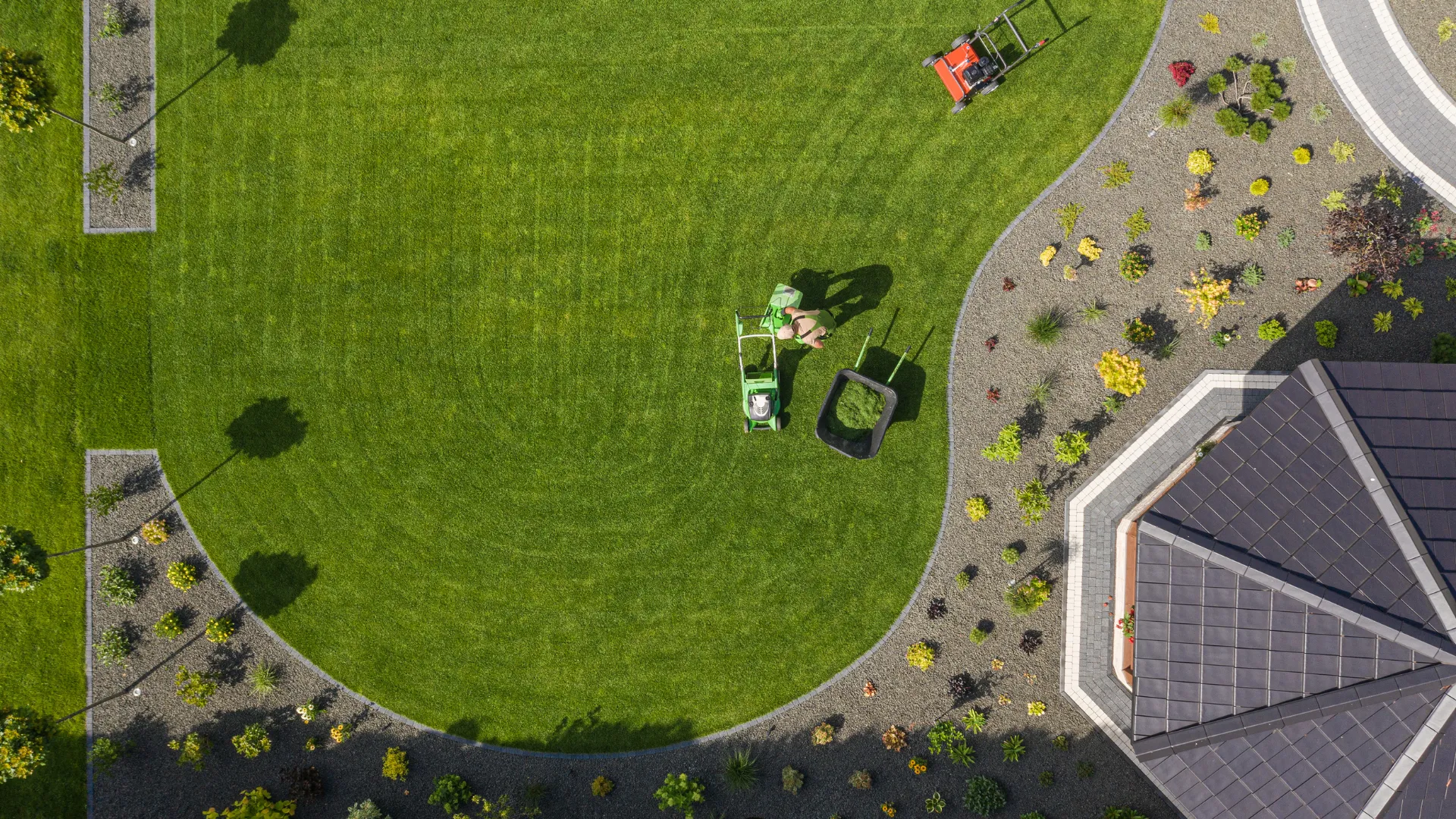 Residential Lawn Revitalization