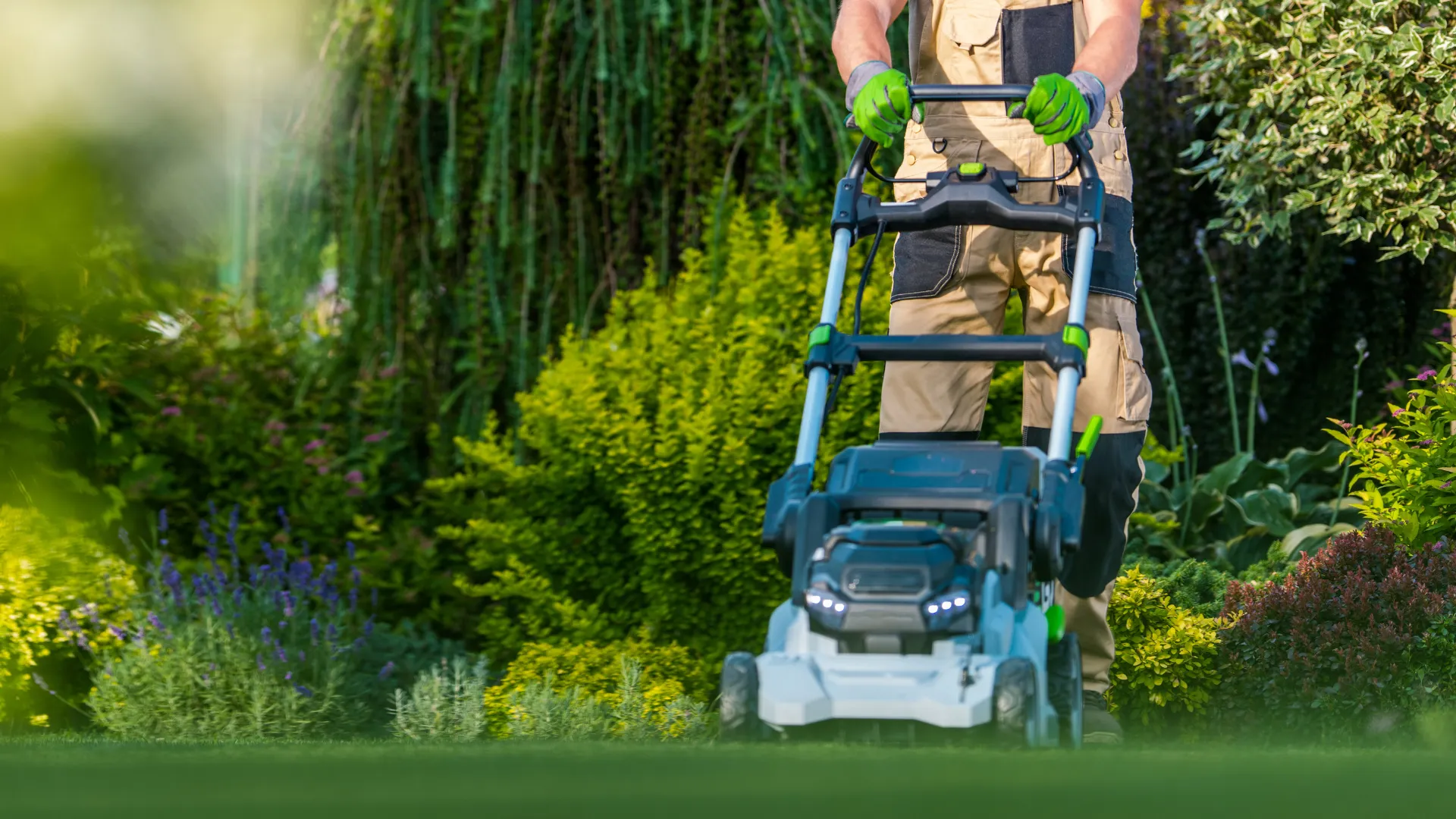 Corporate Lawn Maintenance