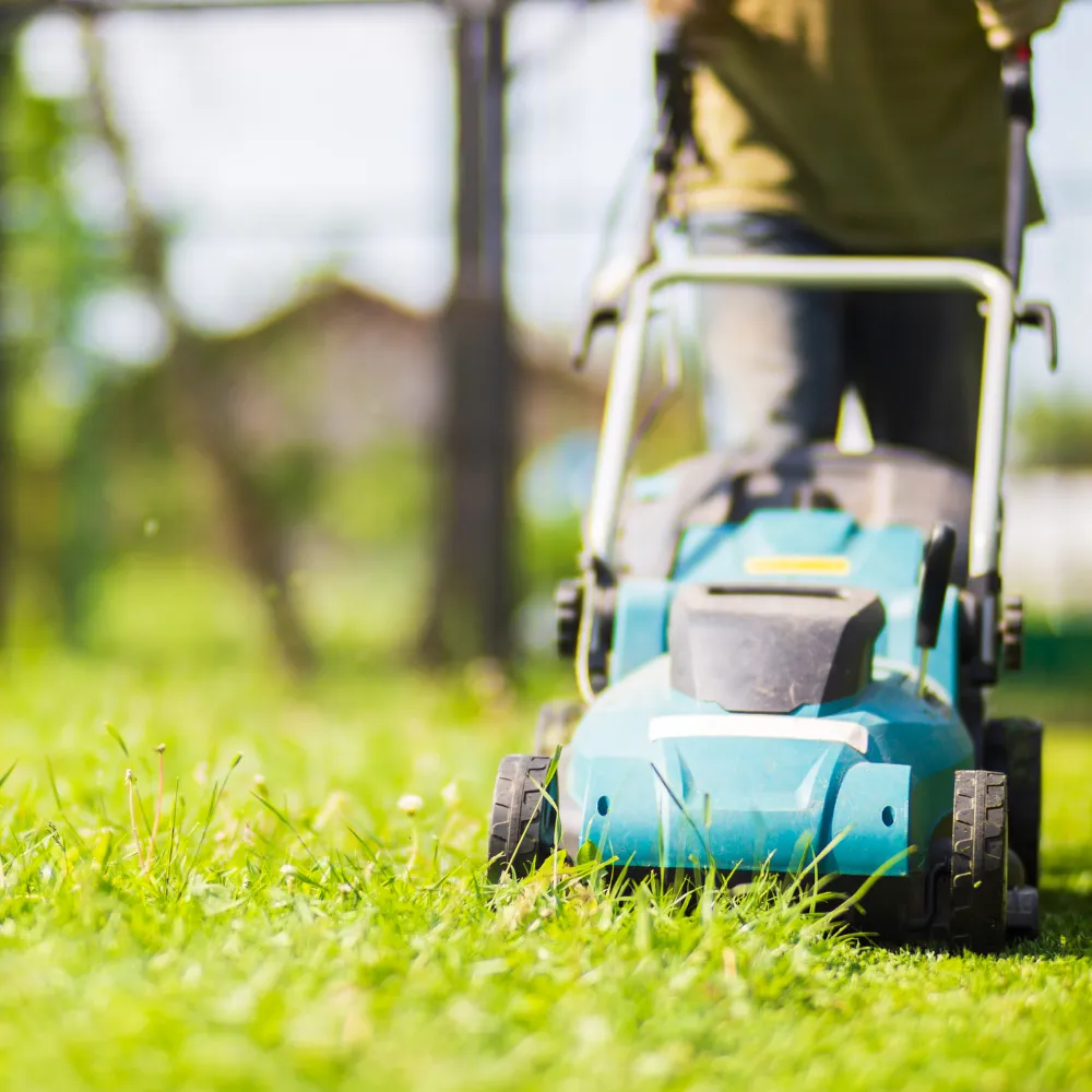 Greeneeyard Lanscaping services