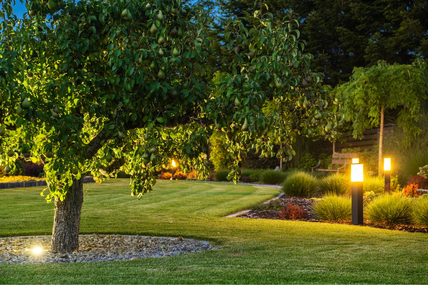 Greeneeyard Outdoor Lighting Solutions
